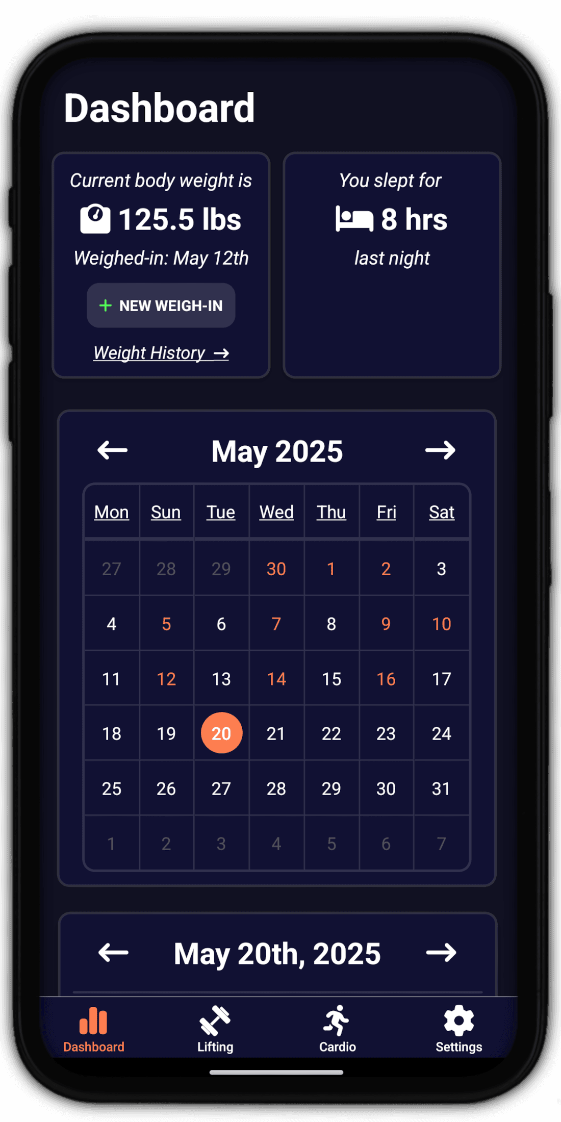 Big Fitness Dashboard